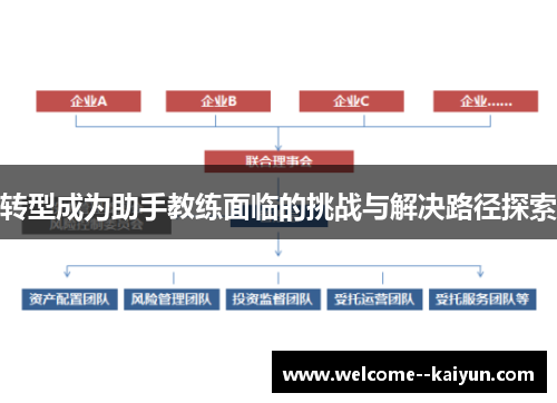 转型成为助手教练面临的挑战与解决路径探索